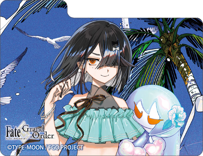 AmiAmi [Character & Hobby Shop] | Character Deck Case MAX NEO Fate