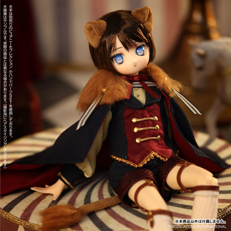 青年ドール AmiAmi [Character & Hobby Shop] | 1/6 Iris Collection Petite