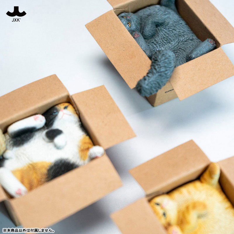 AmiAmi [Character & Hobby Shop] | Cardboard Box Cat B(Released)