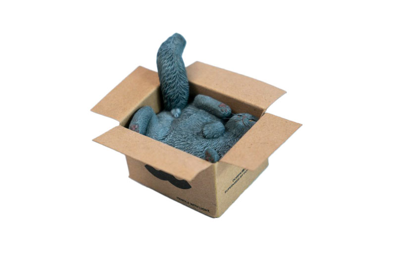 AmiAmi [Character & Hobby Shop] | Cardboard Box Cat B(Released)