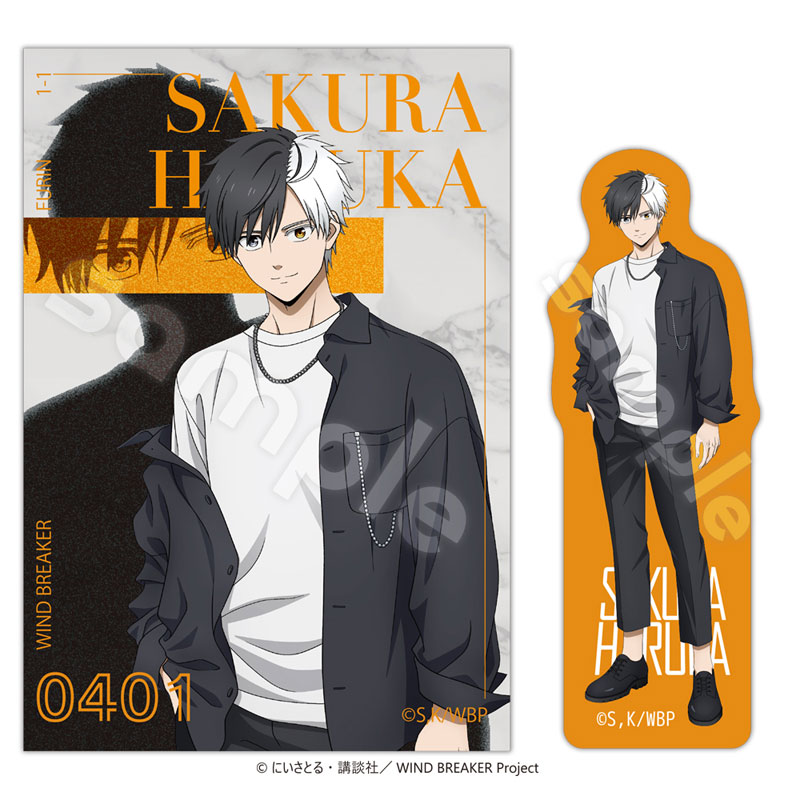 AmiAmi [Character & Hobby Shop] | TV Anime 