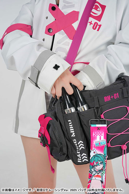 みく 初音ミク GTプロジェクト - レーシングミク 2025Ver. Ani-Art BIG