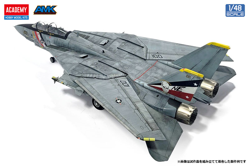 AmiAmi [Character & Hobby Shop] | 1/48 F-14D Super Tomcat 