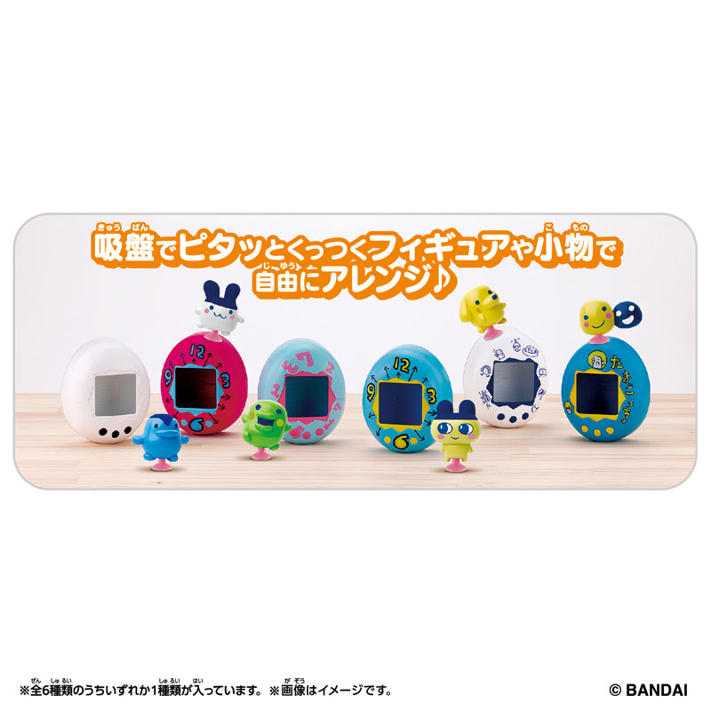 AmiAmi [Character & Hobby Shop] | Tamagotchi Tamagotchi Pitta Vol
