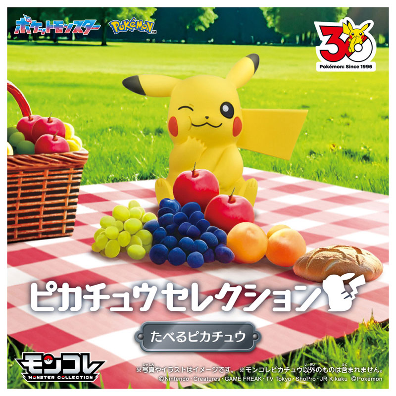 AmiAmi [Character & Hobby Shop] | Pokemon 30th Anniversary