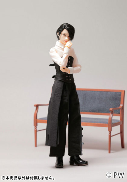 AmiAmi [Character & Hobby Shop] | 1/6 Male Encyclopedia Idol Link