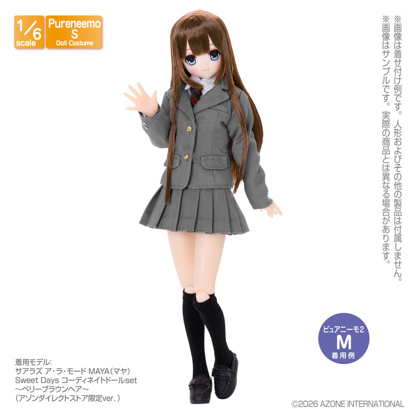 AmiAmi [Character & Hobby Shop] | 1/6 PNS Ribbon & Necktie set