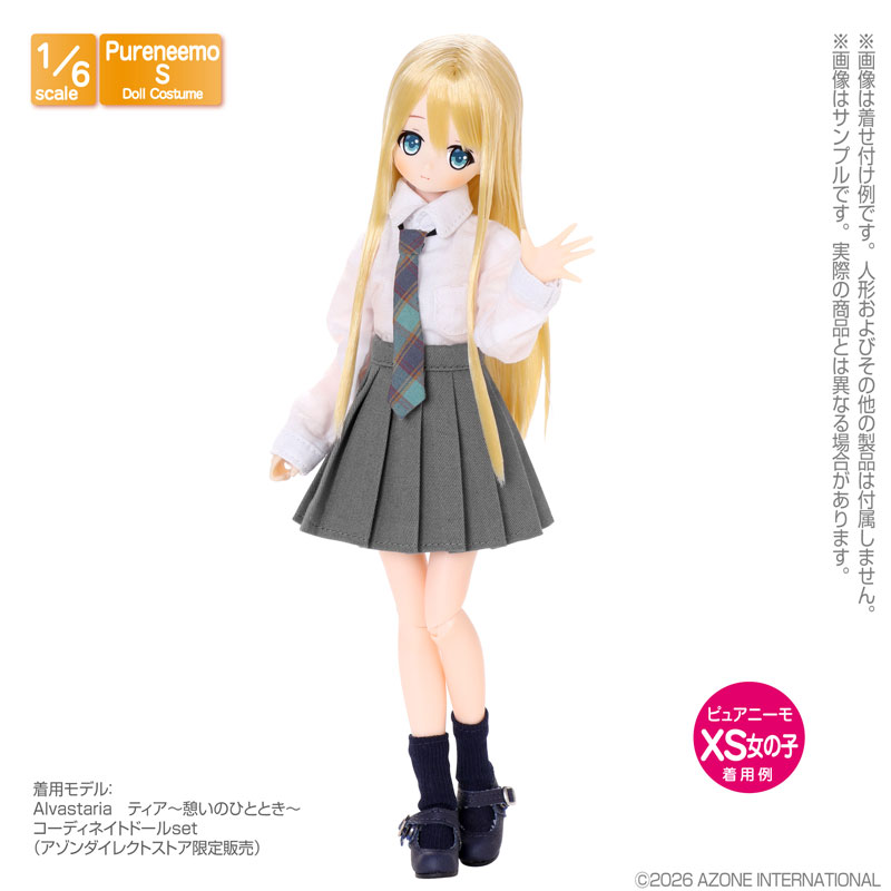 AmiAmi [Character & Hobby Shop] | 1/6 PNS Ribbon & Necktie set