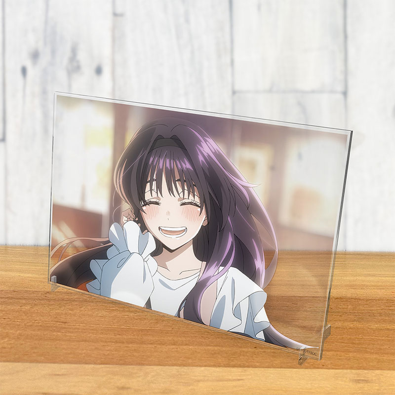AmiAmi [Character & Hobby Shop] | TV Anime 