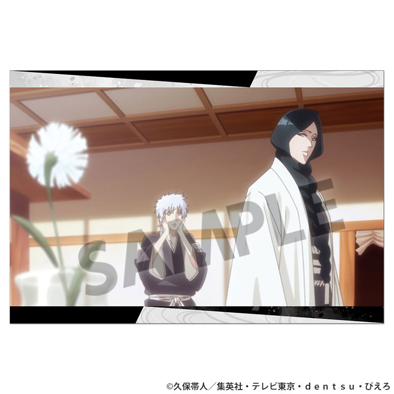 AmiAmi [Character & Hobby Shop] | TV Anime 