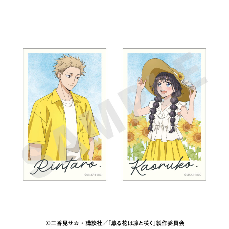 AmiAmi [Character & Hobby Shop] | TV Anime 