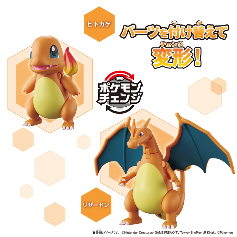 AmiAmi [Character & Hobby Shop] | Pokemon Change Charmander