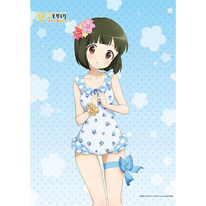 AmiAmi [Character & Hobby Shop]