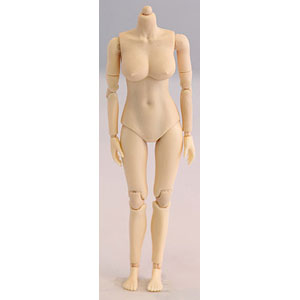 【2024年製 新品】 AmiAmi [Character Shop] Hobby & 知育玩具