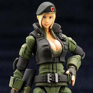 AmiAmi [Character & Hobby Shop]