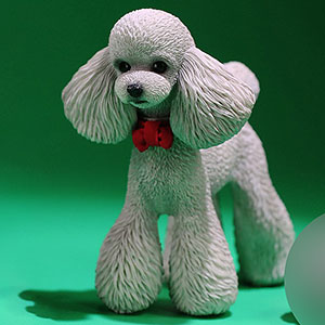 AmiAmi [Character & Hobby Shop] | 1/6 Toy Poodle Gray(Released)