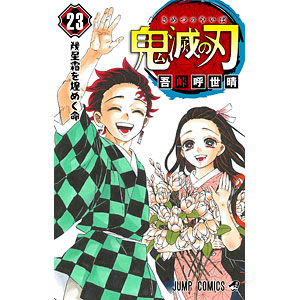 Demon Slayer - Kimetsu No Yaiba - Gaiden