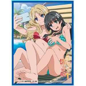 Chara Sleeve Collection Matte Series No.MT1045: Toaru Kagaku no