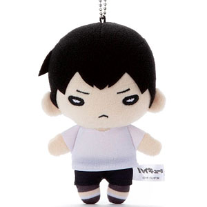 AmiAmi [Character & Hobby Shop] | Nitotan Haikyuu!! Japan Youth