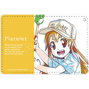 Plastic Folder - Hataraku Saibou (Cells at Work!)