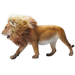 カニ座のライオン AmiAmi [Character & Hobby Shop] | 1/6 Lion 2.0 B