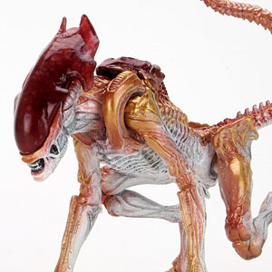 AmiAmi [Character & Hobby Shop] | Alien / 7 Inch Action Figure