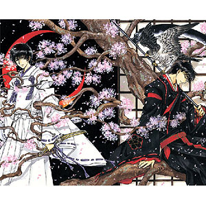AmiAmi [Character & Hobby Shop] | 【限定贩卖】CLAMP《X》帆布画皇昴