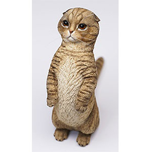 AmiAmi [Character & Hobby Shop] | 1/6 Scottish Fold 2.0 B(Released)