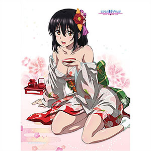 Strike the Blood Final Rubber Mat: Yukina Boat