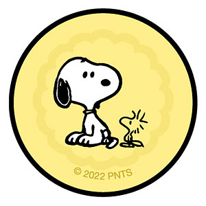 AmiAmi [Character & Hobby Shop] | Peanuts POCOPOCO Charlie Brown 