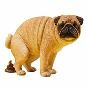その他 PUG 1st COLOR Shop the Latest FG Firm Ground Soccer Cleats - Puma Ultra