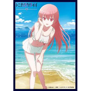 AmiAmi [Character & Hobby Shop]