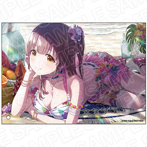 AmiAmi [Character & Hobby Shop]