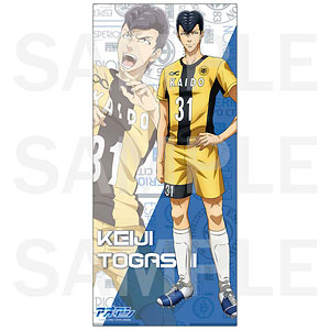 AmiAmi [Character & Hobby Shop]