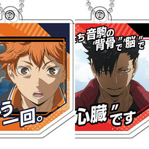 AmiAmi [Character & Hobby Shop]  Haikyuu!! Acrylic Art Panel Karasuno High  School Yojijukugo(Released)