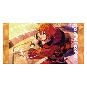 AmiAmi [Character & Hobby Shop]