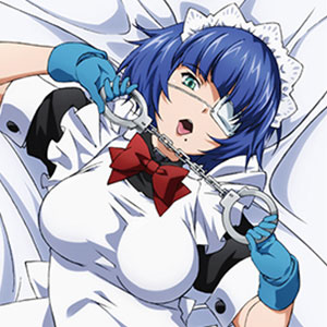 AmiAmi [Character & Hobby Shop]  Shin Ikkitousen New Illustration Shimei  Ryomou Hugging Pillow Cover (2way Tricot)(Released)