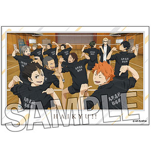 AmiAmi [Character & Hobby Shop]  Haikyuu!! KiraSti Collection Vol.2 11Pack  BOX(Released)