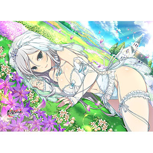 Shinovi Master Senran Kagura: New Link - Senkou - Tapestry - Wedding  (Curtain Damashii)