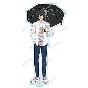 AmiAmi [Character & Hobby Shop] | TV Anime 
