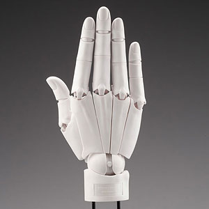 AmiAmi [Character & Hobby Shop] | ARTIST SUPPORT ITEM