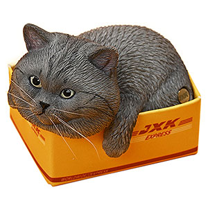 その他 Gato Loud Cat Face｜ジップウォレット｜ユニセックス｜グラニフ