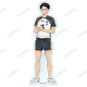 ハイキュー!! aki Amazon.co.jp: ハイキュー!! 赤葦 あかあし Playing マスコット