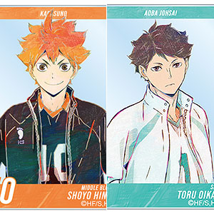 AmiAmi [Character & Hobby Shop]  Acrylic Card .hack 01/ Trading Official  Illustration 6Pack BOX(Released)