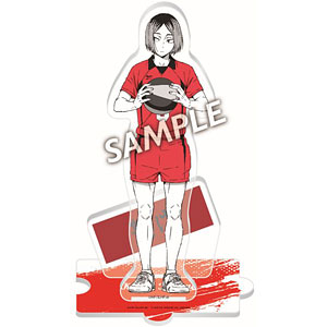 Haikyuu!! Happinet Online Limited Edition Acrylic Stand Hinata Shoyo