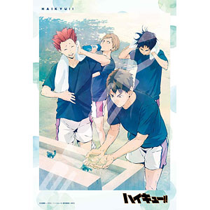 Anime Haikyuu - online puzzle