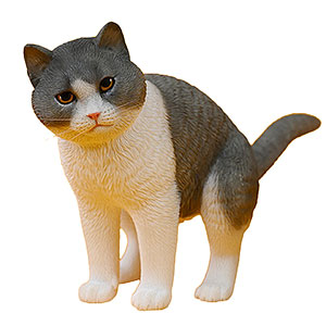 猫清 AmiAmi [Character & Hobby Shop] | 1/6 The Rebelling Cat A