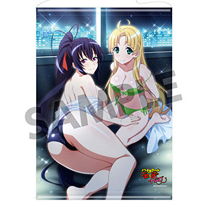 AmiAmi [Character & Hobby Shop] | High School D x D HERO B2 Wall