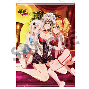 AmiAmi [Character & Hobby Shop] | High School D x D HERO B2 Wall