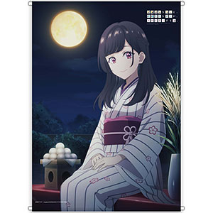 AmiAmi [Character & Hobby Shop]